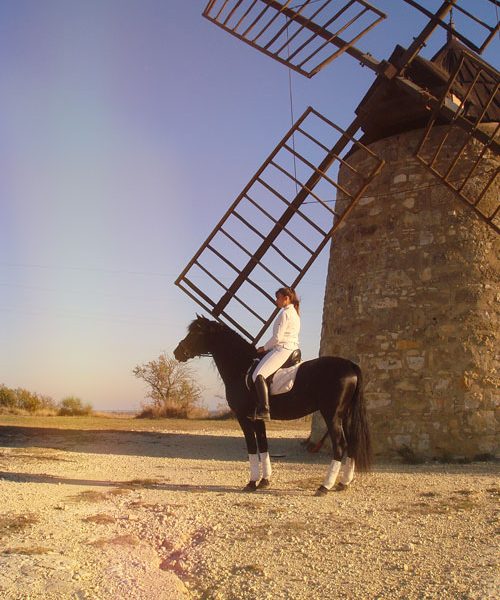 Hispano Sombra, élevage de chevaux de pure race espagnole à Béziers.